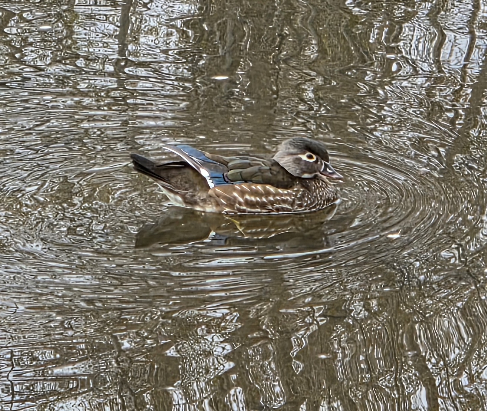 L'art en pleine nature au Parc Bernard Landry à Laval – Image 4