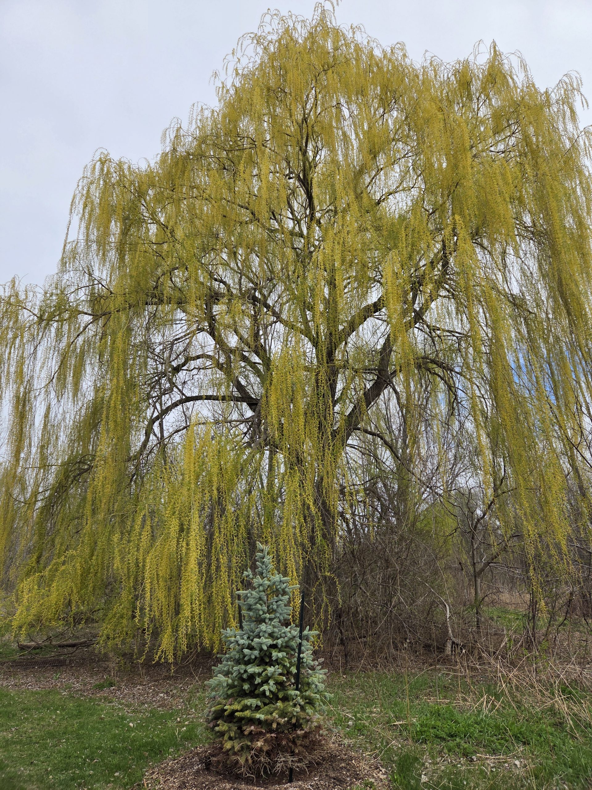 L'art en pleine nature au Parc Bernard Landry à Laval – Image 2